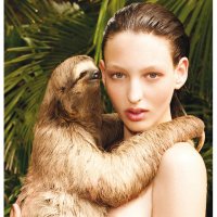 Sloths, Social Media and Sex Education